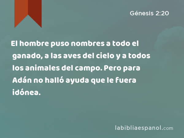 El hombre puso nombres a todo el ganado, a las aves del cielo y a todos los animales del campo. Pero para Adán no halló ayuda que le fuera idónea. - Génesis 2:20