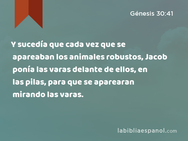 Y sucedía que cada vez que se apareaban los animales robustos, Jacob ponía las varas delante de ellos, en las pilas, para que se aparearan mirando las varas. - Génesis 30:41