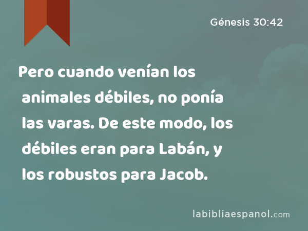 Pero cuando venían los animales débiles, no ponía las varas. De este modo, los débiles eran para Labán, y los robustos para Jacob. - Génesis 30:42