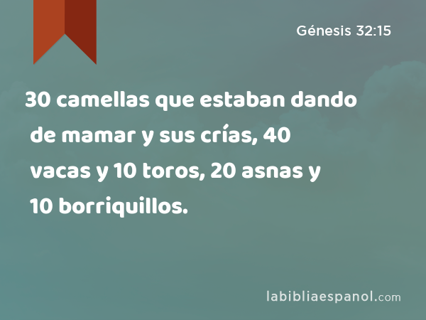 30 camellas que estaban dando de mamar y sus crías, 40 vacas y 10 toros, 20 asnas y 10 borriquillos. - Génesis 32:15