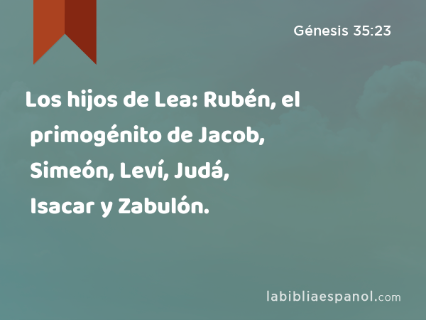 Los hijos de Lea: Rubén, el primogénito de Jacob, Simeón, Leví, Judá, Isacar y Zabulón. - Génesis 35:23