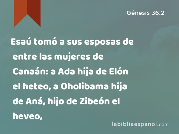 Esaú tomó a sus esposas de entre las mujeres de Canaán: a Ada hija de Elón el heteo, a Oholibama hija de Aná, hijo de Zibeón el heveo, - Génesis 36:2