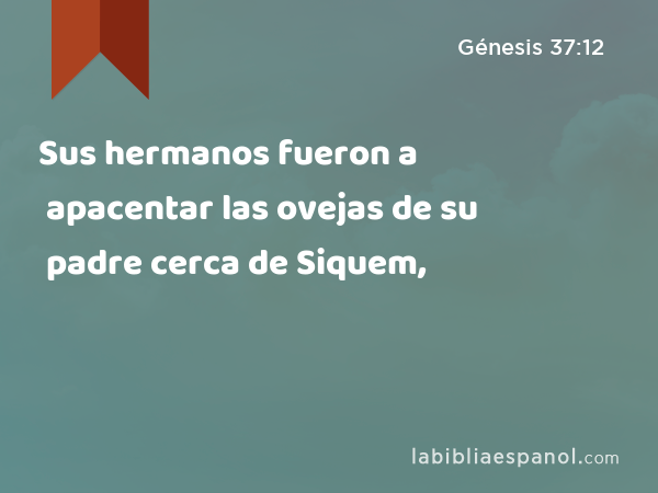 Sus hermanos fueron a apacentar las ovejas de su padre cerca de Siquem, - Génesis 37:12