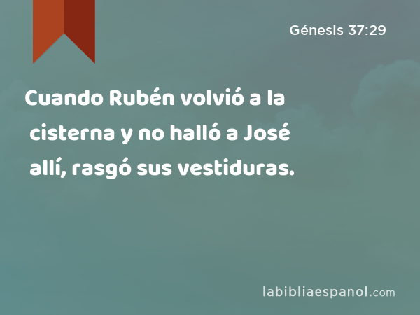 Cuando Rubén volvió a la cisterna y no halló a José allí, rasgó sus vestiduras. - Génesis 37:29