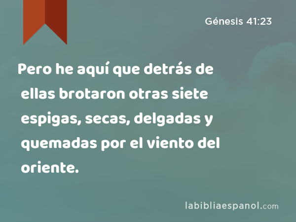Pero he aquí que detrás de ellas brotaron otras siete espigas, secas, delgadas y quemadas por el viento del oriente. - Génesis 41:23