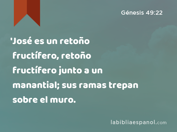 'José es un retoño fructífero, retoño fructífero junto a un manantial; sus ramas trepan sobre el muro. - Génesis 49:22