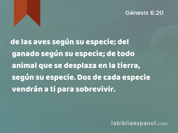 de las aves según su especie; del ganado según su especie; de todo animal que se desplaza en la tierra, según su especie. Dos de cada especie vendrán a ti para sobrevivir. - Génesis 6:20