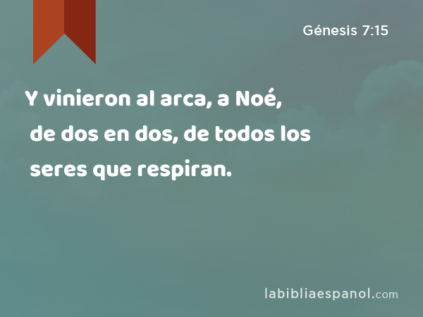 Y vinieron al arca, a Noé, de dos en dos, de todos los seres que respiran. - Génesis 7:15