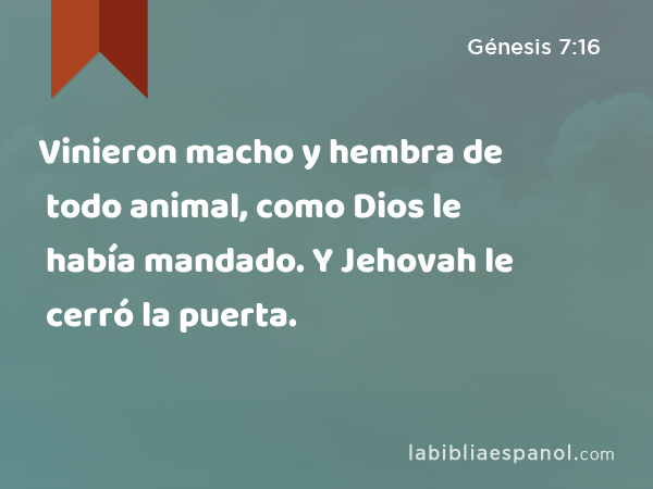 Vinieron macho y hembra de todo animal, como Dios le había mandado. Y Jehovah le cerró la puerta. - Génesis 7:16