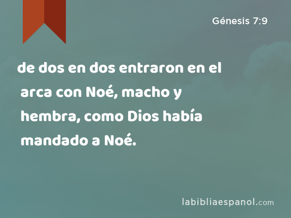 de dos en dos entraron en el arca con Noé, macho y hembra, como Dios había mandado a Noé. - Génesis 7:9