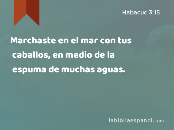 Marchaste en el mar con tus caballos, en medio de la espuma de muchas aguas. - Habacuc 3:15