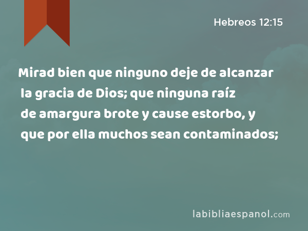 Mirad bien que ninguno deje de alcanzar la gracia de Dios; que ninguna raíz de amargura brote y cause estorbo, y que por ella muchos sean contaminados; - Hebreos 12:15