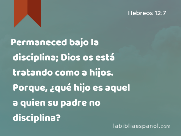 Permaneced bajo la disciplina; Dios os está tratando como a hijos. Porque, ¿qué hijo es aquel a quien su padre no disciplina? - Hebreos 12:7