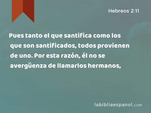 Pues tanto el que santifica como los que son santificados, todos provienen de uno. Por esta razón, él no se avergüenza de llamarlos hermanos, - Hebreos 2:11