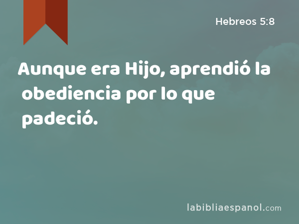 Aunque era Hijo, aprendió la obediencia por lo que padeció. - Hebreos 5:8