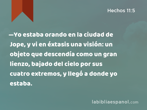 —Yo estaba orando en la ciudad de Jope, y vi en éxtasis una visión: un objeto que descendía como un gran lienzo, bajado del cielo por sus cuatro extremos, y llegó a donde yo estaba. - Hechos 11:5