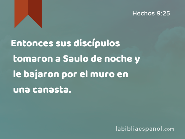 Entonces sus discípulos tomaron a Saulo de noche y le bajaron por el muro en una canasta. - Hechos 9:25