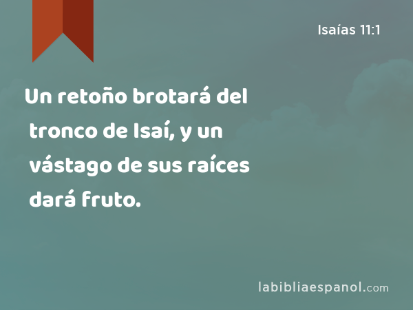 Un retoño brotará del tronco de Isaí, y un vástago de sus raíces dará fruto. - Isaías 11:1