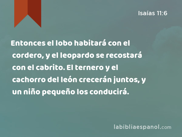 Entonces el lobo habitará con el cordero, y el leopardo se recostará con el cabrito. El ternero y el cachorro del león crecerán juntos, y un niño pequeño los conducirá. - Isaías 11:6