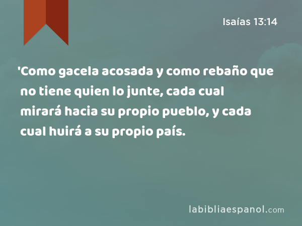 'Como gacela acosada y como rebaño que no tiene quien lo junte, cada cual mirará hacia su propio pueblo, y cada cual huirá a su propio país. - Isaías 13:14