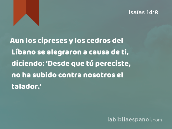 Aun los cipreses y los cedros del Líbano se alegraron a causa de ti, diciendo: ‘Desde que tú pereciste, no ha subido contra nosotros el talador.’ - Isaías 14:8