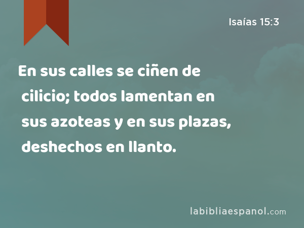 En sus calles se ciñen de cilicio; todos lamentan en sus azoteas y en sus plazas, deshechos en llanto. - Isaías 15:3