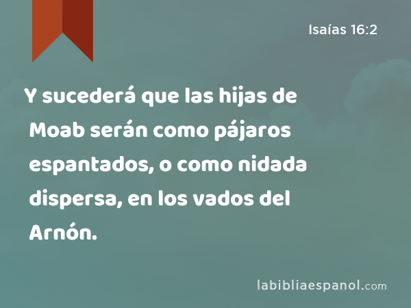 Y sucederá que las hijas de Moab serán como pájaros espantados, o como nidada dispersa, en los vados del Arnón. - Isaías 16:2