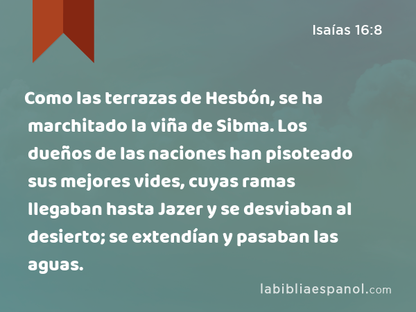 Como las terrazas de Hesbón, se ha marchitado la viña de Sibma. Los dueños de las naciones han pisoteado sus mejores vides, cuyas ramas llegaban hasta Jazer y se desviaban al desierto; se extendían y pasaban las aguas. - Isaías 16:8