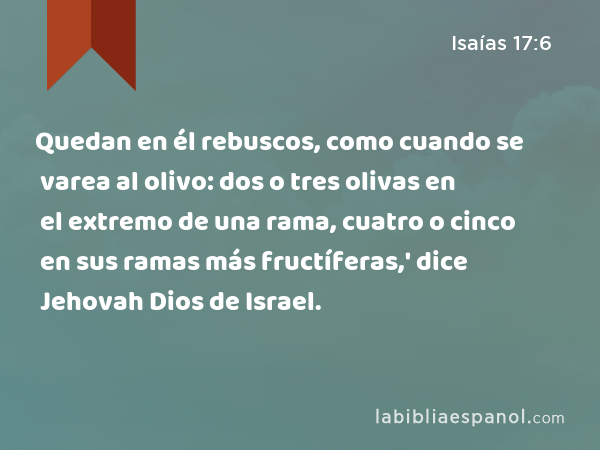 Quedan en él rebuscos, como cuando se varea al olivo: dos o tres olivas en el extremo de una rama, cuatro o cinco en sus ramas más fructíferas,' dice Jehovah Dios de Israel. - Isaías 17:6