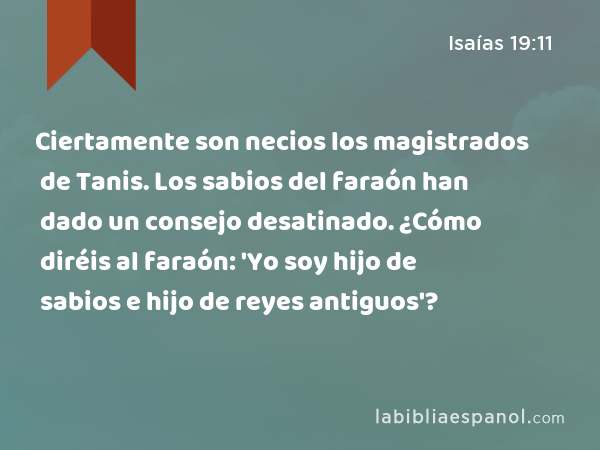 Ciertamente son necios los magistrados de Tanis. Los sabios del faraón han dado un consejo desatinado. ¿Cómo diréis al faraón: 'Yo soy hijo de sabios e hijo de reyes antiguos'? - Isaías 19:11