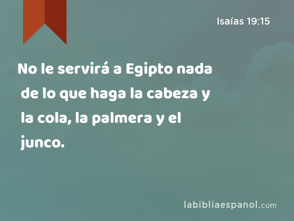 No le servirá a Egipto nada de lo que haga la cabeza y la cola, la palmera y el junco. - Isaías 19:15