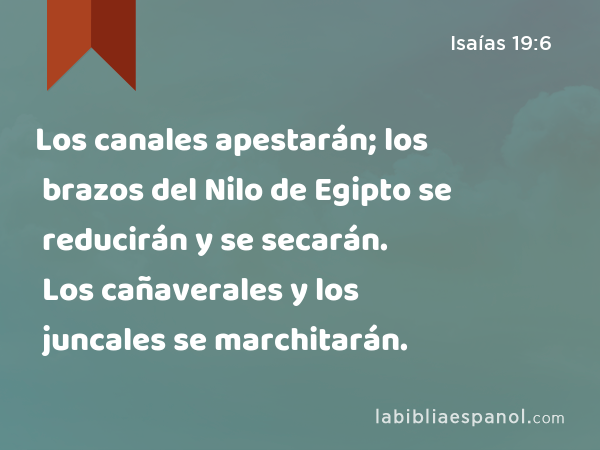 Los canales apestarán; los brazos del Nilo de Egipto se reducirán y se secarán. Los cañaverales y los juncales se marchitarán. - Isaías 19:6