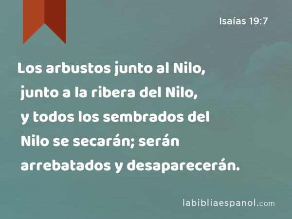 Los arbustos junto al Nilo, junto a la ribera del Nilo, y todos los sembrados del Nilo se secarán; serán arrebatados y desaparecerán. - Isaías 19:7