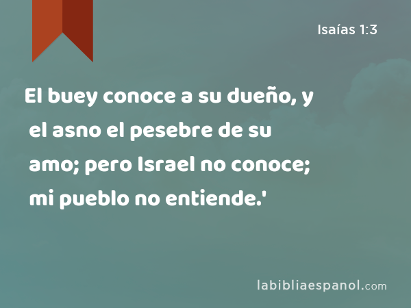 El buey conoce a su dueño, y el asno el pesebre de su amo; pero Israel no conoce; mi pueblo no entiende.' - Isaías 1:3