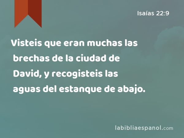 Visteis que eran muchas las brechas de la ciudad de David, y recogisteis las aguas del estanque de abajo. - Isaías 22:9