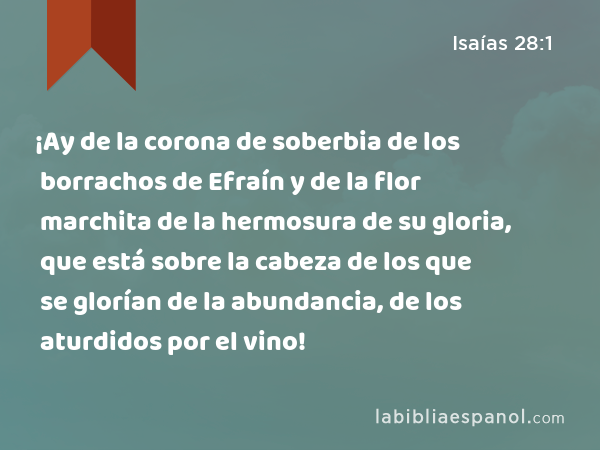 ¡Ay de la corona de soberbia de los borrachos de Efraín y de la flor marchita de la hermosura de su gloria, que está sobre la cabeza de los que se glorían de la abundancia, de los aturdidos por el vino! - Isaías 28:1