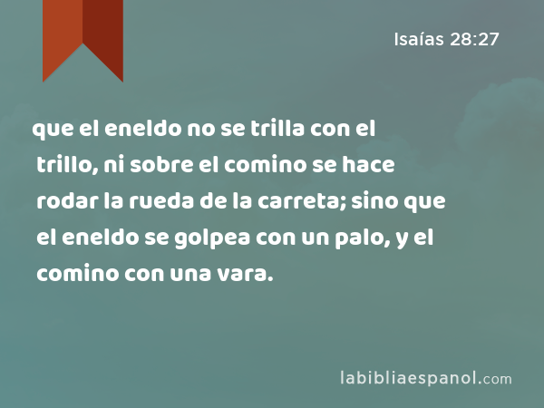 que el eneldo no se trilla con el trillo, ni sobre el comino se hace rodar la rueda de la carreta; sino que el eneldo se golpea con un palo, y el comino con una vara. - Isaías 28:27