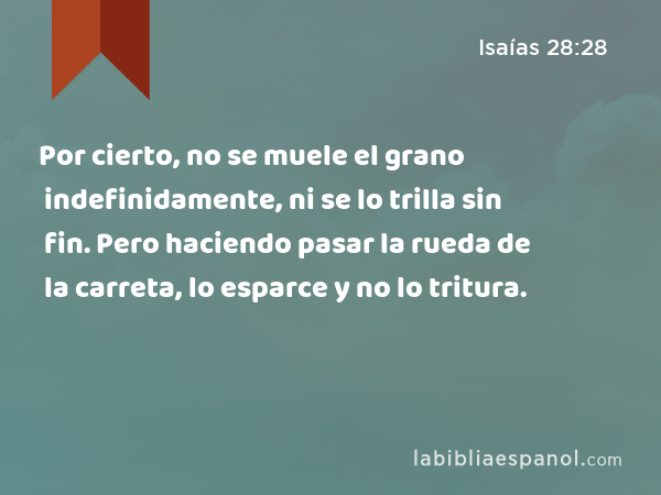 Por cierto, no se muele el grano indefinidamente, ni se lo trilla sin fin. Pero haciendo pasar la rueda de la carreta, lo esparce y no lo tritura. - Isaías 28:28