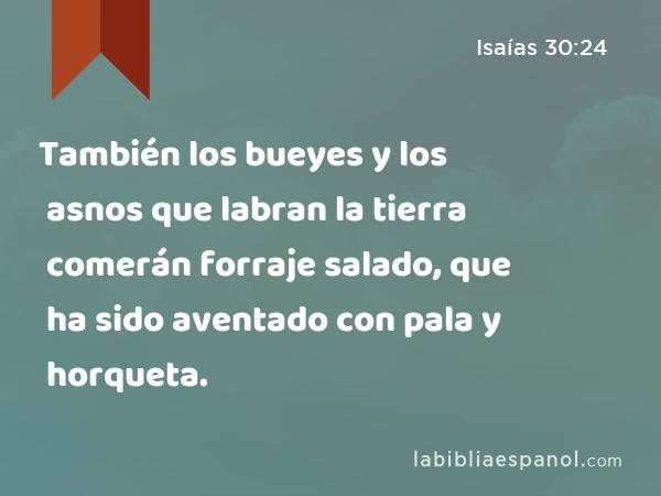 También los bueyes y los asnos que labran la tierra comerán forraje salado, que ha sido aventado con pala y horqueta. - Isaías 30:24