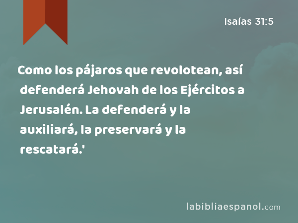 Como los pájaros que revolotean, así defenderá Jehovah de los Ejércitos a Jerusalén. La defenderá y la auxiliará, la preservará y la rescatará.' - Isaías 31:5