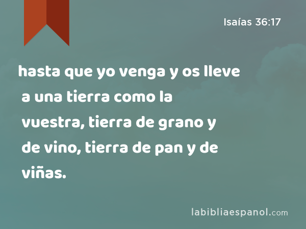 hasta que yo venga y os lleve a una tierra como la vuestra, tierra de grano y de vino, tierra de pan y de viñas. - Isaías 36:17