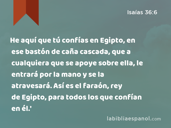 He aquí que tú confías en Egipto, en ese bastón de caña cascada, que a cualquiera que se apoye sobre ella, le entrará por la mano y se la atravesará. Así es el faraón, rey de Egipto, para todos los que confían en él.' - Isaías 36:6