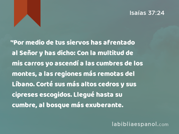 '‘Por medio de tus siervos has afrentado al Señor y has dicho: Con la multitud de mis carros yo ascendí a las cumbres de los montes, a las regiones más remotas del Líbano. Corté sus más altos cedros y sus cipreses escogidos. Llegué hasta su cumbre, al bosque más exuberante. - Isaías 37:24