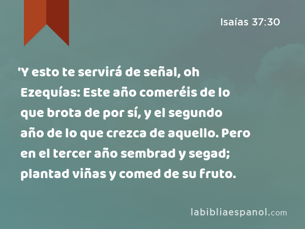 'Y esto te servirá de señal, oh Ezequías: Este año comeréis de lo que brota de por sí, y el segundo año de lo que crezca de aquello. Pero en el tercer año sembrad y segad; plantad viñas y comed de su fruto. - Isaías 37:30