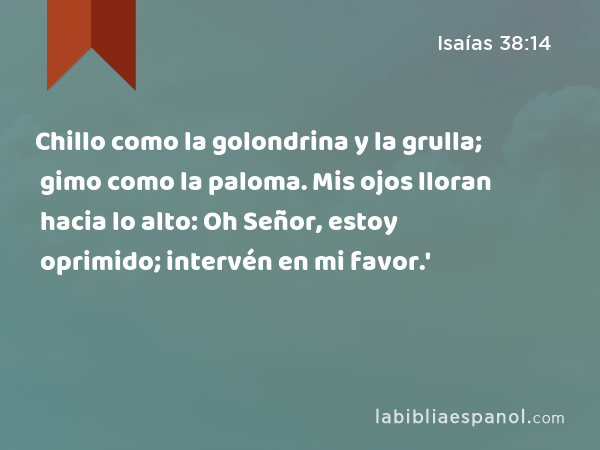 Chillo como la golondrina y la grulla; gimo como la paloma. Mis ojos lloran hacia lo alto: Oh Señor, estoy oprimido; intervén en mi favor.' - Isaías 38:14