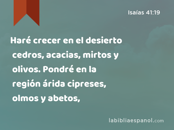 Haré crecer en el desierto cedros, acacias, mirtos y olivos. Pondré en la región árida cipreses, olmos y abetos, - Isaías 41:19