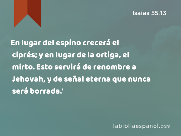 En lugar del espino crecerá el ciprés; y en lugar de la ortiga, el mirto. Esto servirá de renombre a Jehovah, y de señal eterna que nunca será borrada.' - Isaías 55:13