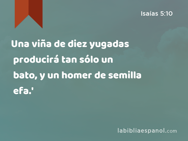 Una viña de diez yugadas producirá tan sólo un bato, y un homer de semilla producirá tan sólo un efa.' - Isaías 5:10