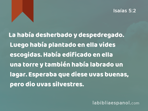 La había desherbado y despedregado. Luego había plantado en ella vides escogidas. Había edificado en ella una torre y también había labrado un lagar. Esperaba que diese uvas buenas, pero dio uvas silvestres. - Isaías 5:2