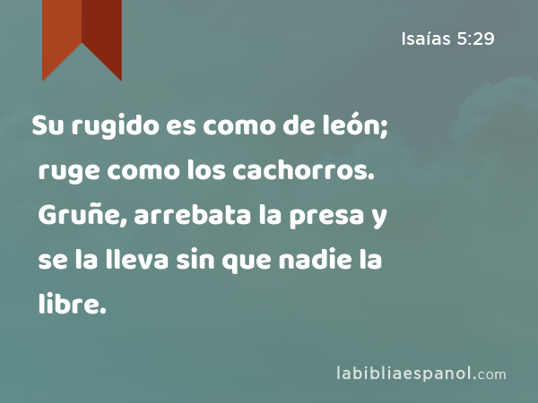 Su rugido es como de león; ruge como los cachorros. Gruñe, arrebata la presa y se la lleva sin que nadie la libre. - Isaías 5:29